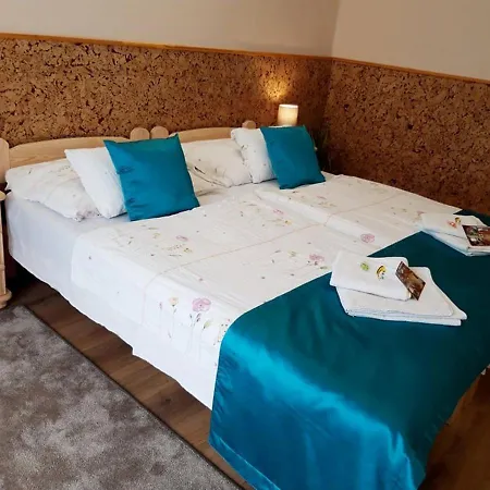 Alojamento de Acomodação e Pequeno-almoço Zenit Panzió Miskolc