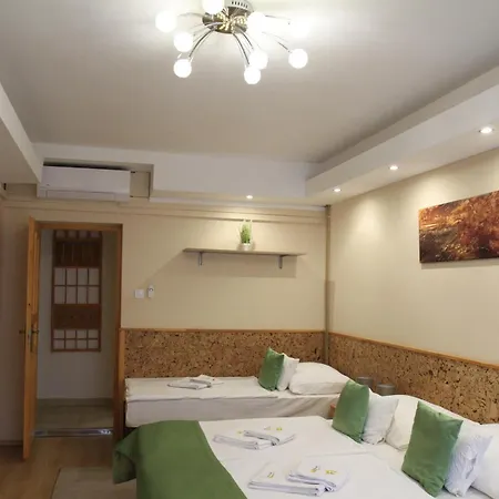 Bed & Breakfast Zenit Panzio 3*