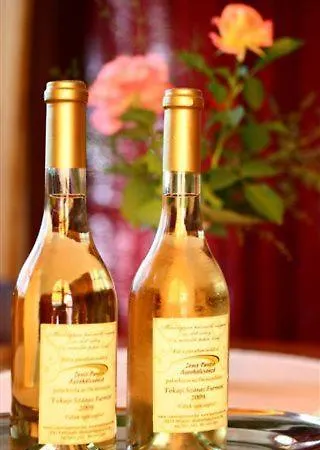 Alojamento de Acomodação e Pequeno-almoço Zenit Panzió 3*