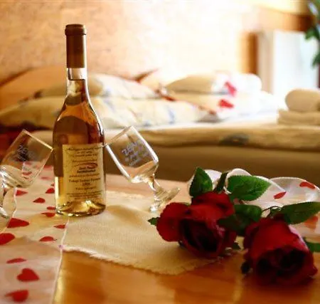 Alojamento de Acomodação e Pequeno-almoço Zenit Panzió Miskolc