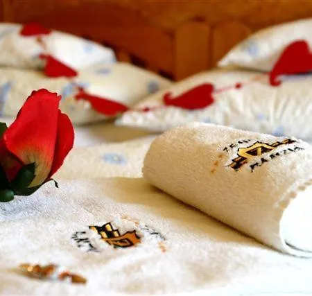 Zenit Panzio 3* Miskolc