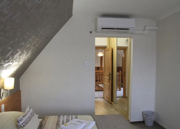 Zenit Panzio 미슈콜츠