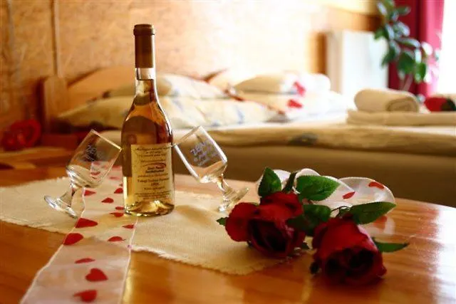 B&B Zenit Panzio 미슈콜츠